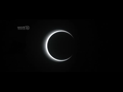 catraca de portão de velocidade AC100-240V edifício de escritórios portão de barreira de velocidade óptica