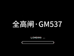 GM537